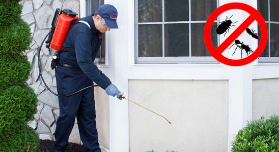 Doğanyurt Böcek İlaçlama böcek ilaçlama ve haşere kontrolü — ilaclama-tr.com